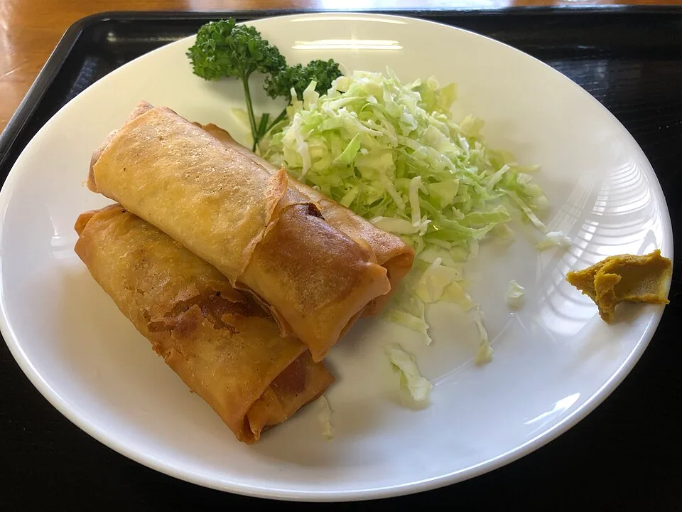 Veg. Roll (10 pcs)